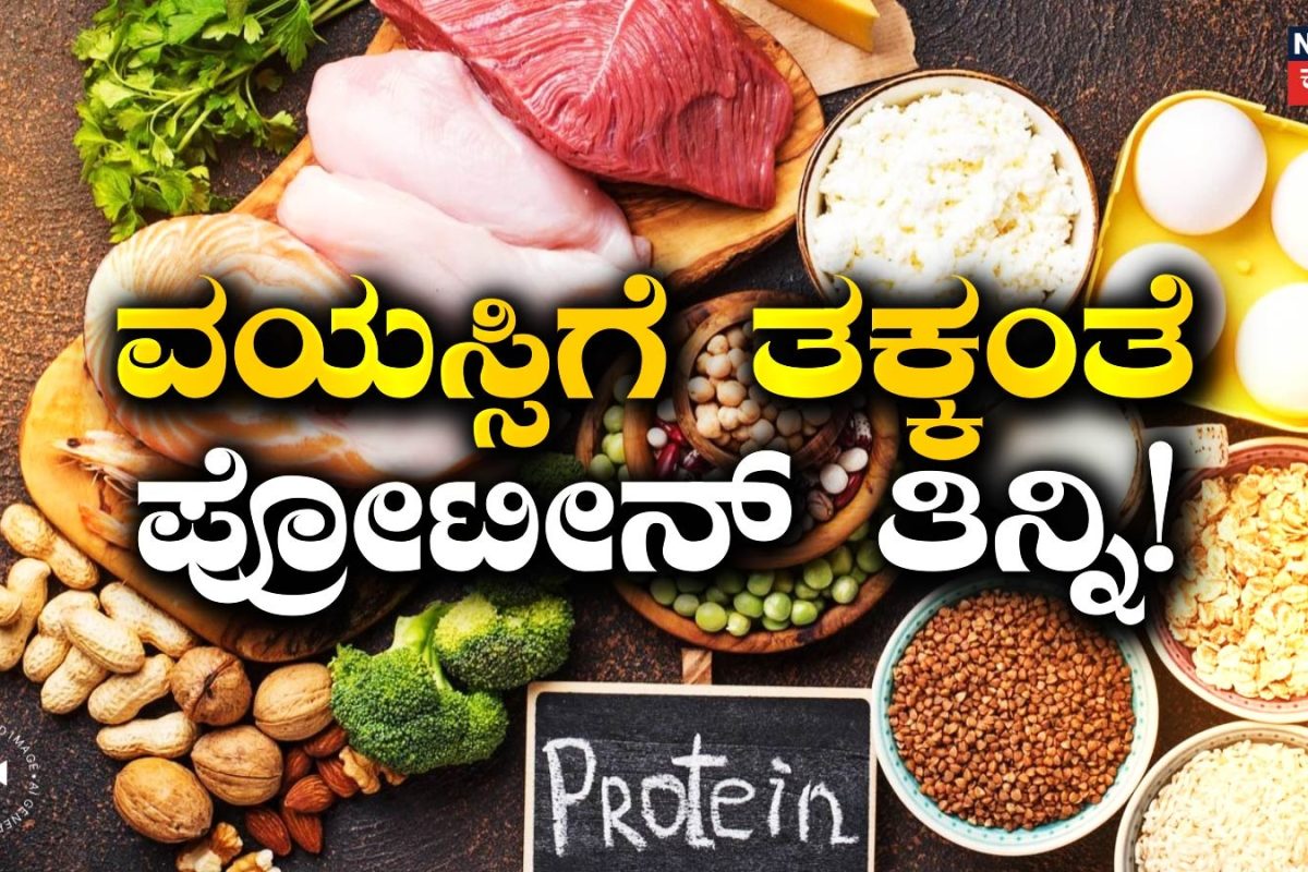 Health Tips: ವಯಸ್ಸಿಗೆ ತಕ್ಕಂತೆ ಪ್ರೋಟೀನ್ ತಿನ್ನಿ! 20, 40, 60 ವಯಸ್ಸಿಗೆ ಬೇಕಾದ ಪ್ರೋಟೀನ್ ಪ್ರಮಾಣ ಎಷ್ಟು?