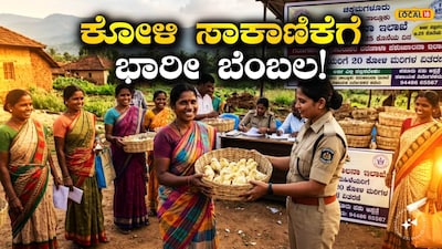 ಕೋಳಿ ಸಾಕಣೆ