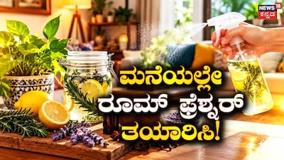 Make Natural Room Freshener At Home Easily