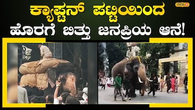 Jambu Savari 2026: Kabini Prince Mahendra out of the Ambari race