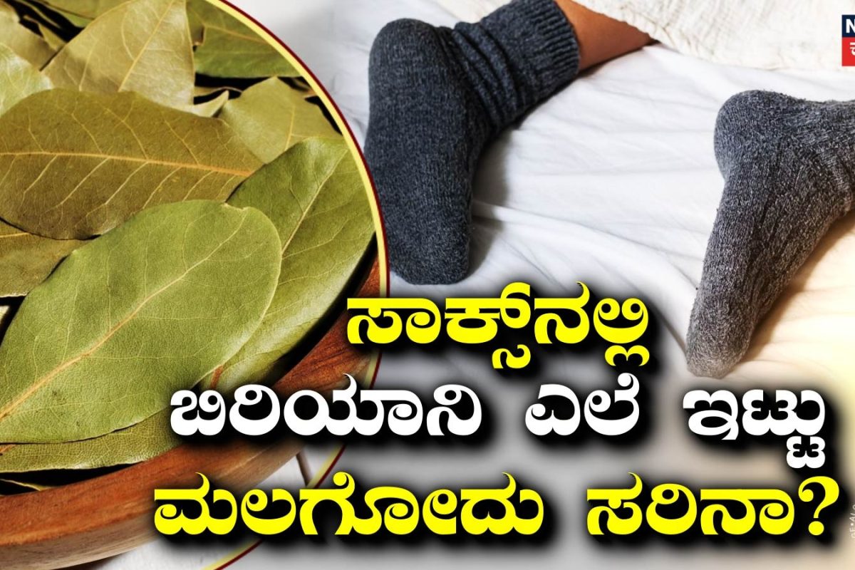 Bay Leaf: ಸಾಕ್ಸ್‌ನಲ್ಲಿ ಬಿರಿಯಾನಿ ಎಲೆ ಇಟ್ಟು ಮಲಗಿದರೆ ಏನಾಗುತ್ತೆ? ಈ ವಿಚಾರ ನೀವು ತಿಳಿದಿರಲೇಬೇಕು