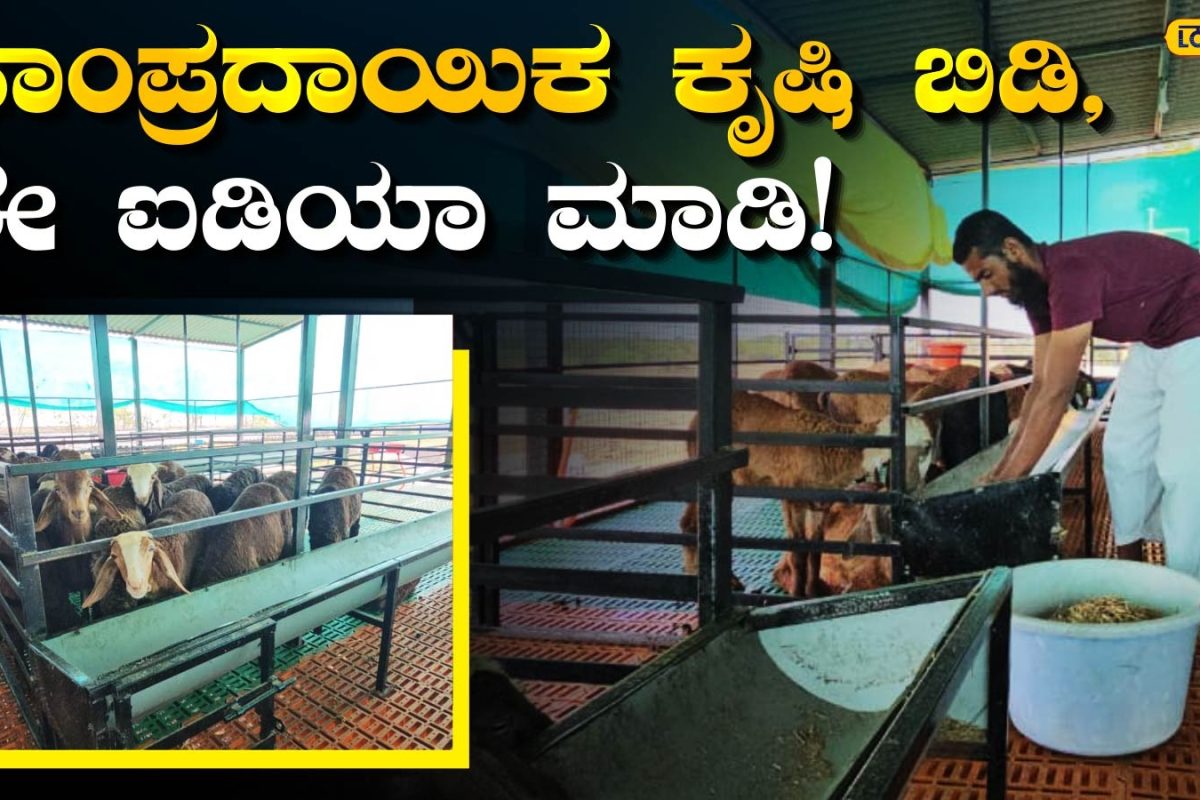 Success Story: ಕುರಿ ಸಾಕಾಣಿಕೆಯಿಂದ ಶ್ರೀಮಂತನಾದ ರೈತ, ಬರಗಾಲದಲ್ಲೂ ಯಶಸ್ಸು ಸಾಧಿಸಿದ ಸ್ಪೂರ್ತಿದಾಯಕ ಕಥೆ!