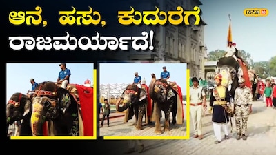 Mysuru Dasara: Palace traditions highlight royal heritage and special honors for Srikanta and Ekalavya