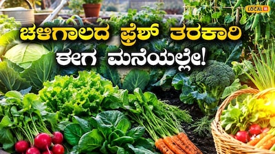 ತೋಟಗಾರಿಕೆ ಟಿಪ್ಸ್