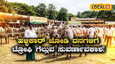 ಹಳ್ಳಿಕಾರ್ ಜಾನುವಾರು ಪ್ರದರ್ಶನ
