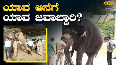 Mysuru Dasara 2025: Elephant Prashanth to Carry Golden Howdah