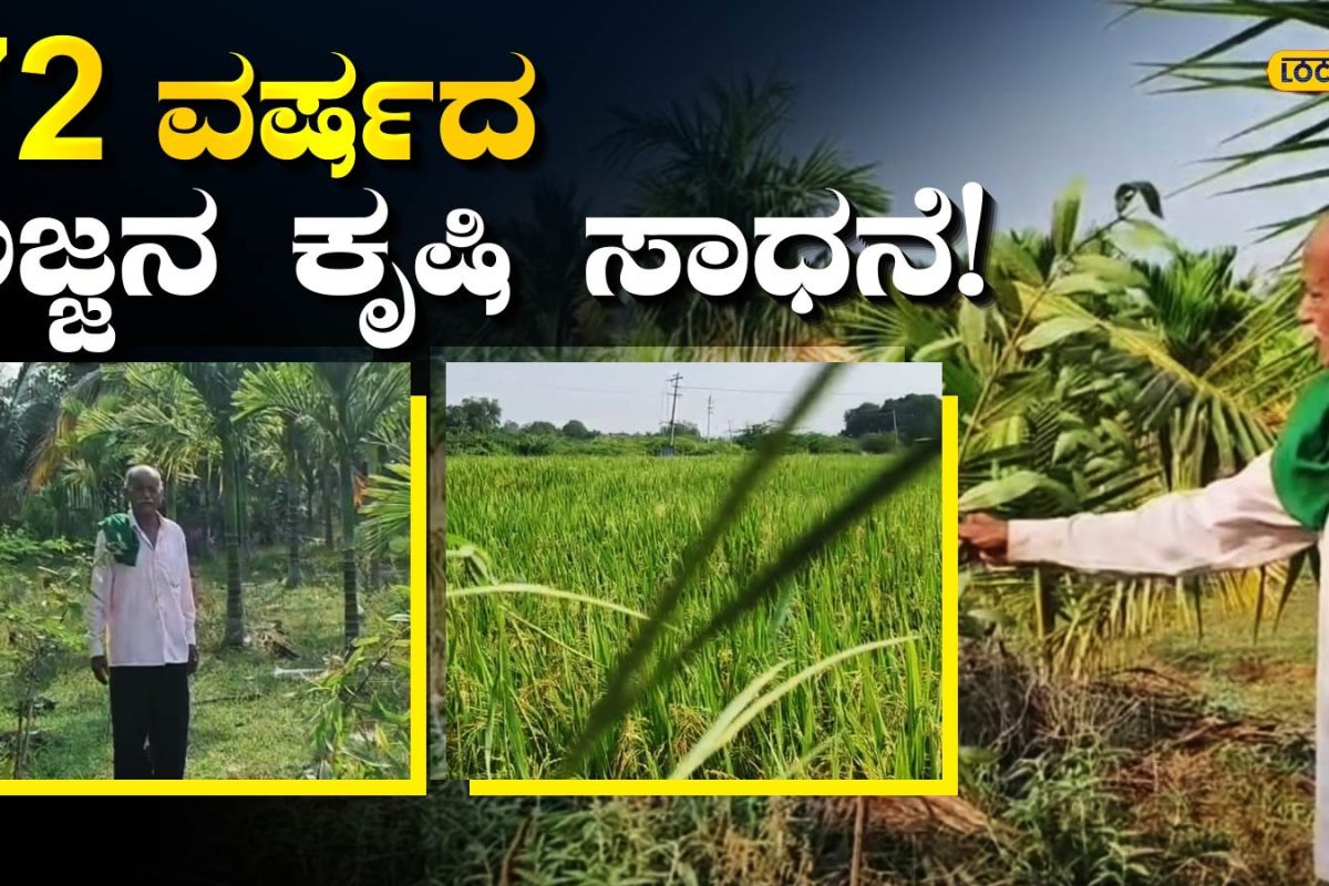 Agricultural Achievement: ಯುವಕರಿಗೂ ಸವಾಲೆಸೆದ 72 ವರ್ಷದ ಅಜ್ಜನ ಕೃಷಿ ಸಾಧನೆ, ಹಿರಿಯಜೀವಿ ನಡೆಸಿದ ಅಚ್ಚರಿಯ ಪ್ರಯೋಗ ಇದು!