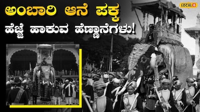 ಕಾವೇರಿ ರೂಪ ಆನೆಗಳು,