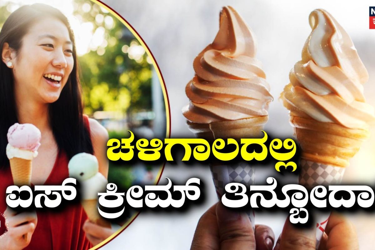 Ice Cream: ಚಳಿಗಾಲದಲ್ಲಿ ಐಸ್‌ ಕ್ರೀಮ್ ತಿನ್ಬೋದಾ? ಇದು ದೇಹಕ್ಕೆ ಒಳ್ಳೆಯದೋ, ಕೆಟ್ಟದ್ದೋ?