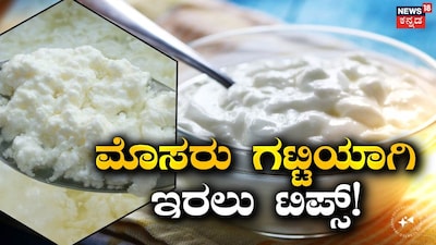 ಮೊಸರು