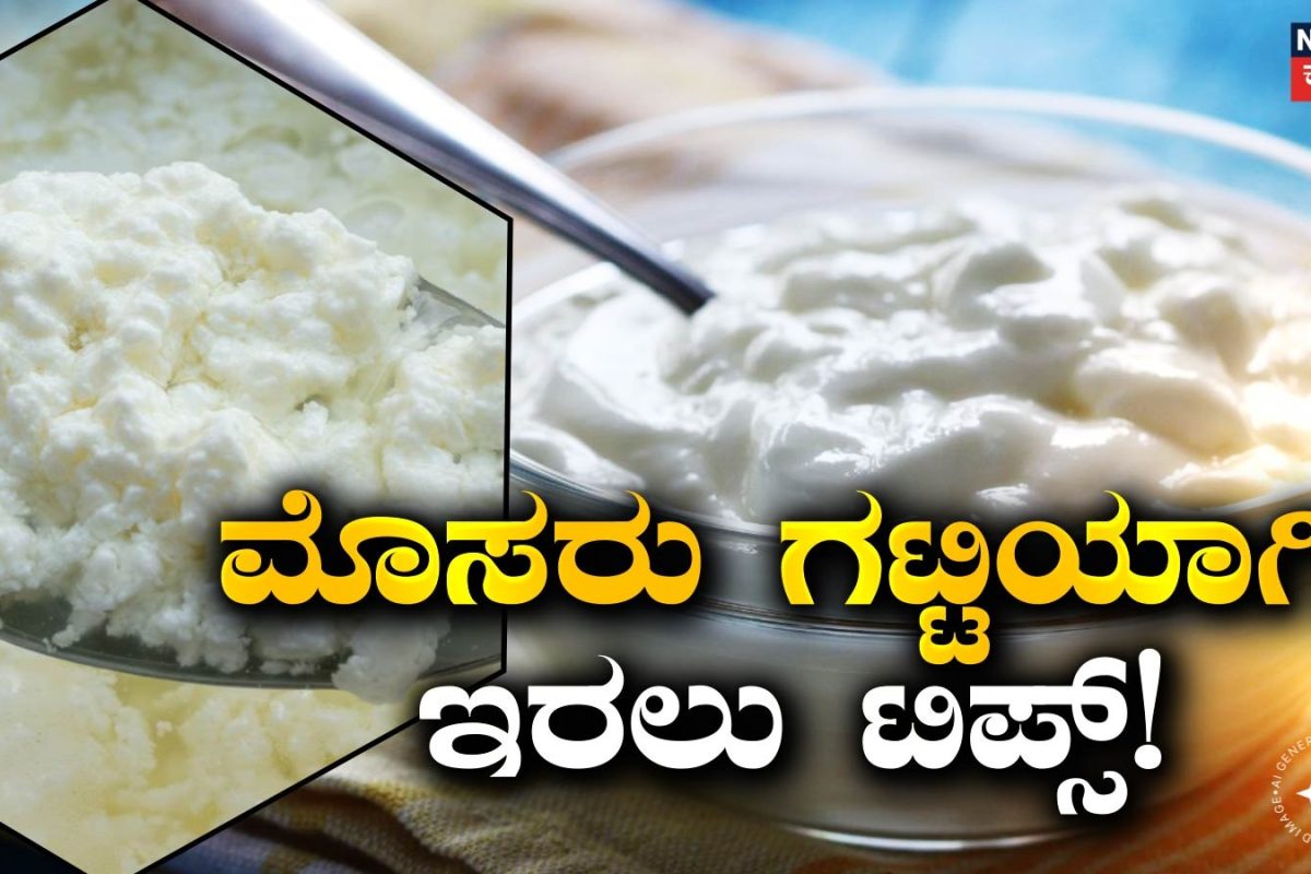 Curd: ಮಳೆಗಾಲದಲ್ಲಿ ಮೊಸರು ನೀರು ಬಿಡುತ್ತಿದೆಯೇ? ಈ ಟಿಪ್ಸ್ ಫಾಲೋ ಮಾಡಿ ಗಟ್ಟಿಯಾಗಿ ಇರುತ್ತೆ!