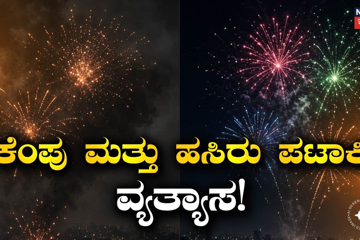 Firecrackers: ಕೆಂಪು ಮತ್ತು ಹಸಿರು ಪಟಾಕಿ ನಡುವಿನ ವ್ಯತ್ಯಾಸ ಏನು?