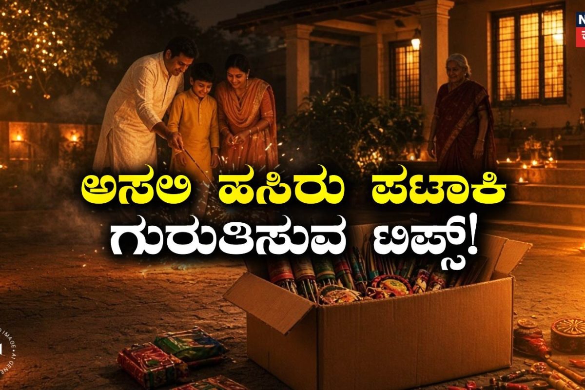 Green Crackers: ದೀಪಾವಳಿ ಶಾಪಿಂಗ್ ಟಿಪ್ಸ್! ಅಸಲಿ-ನಕಲಿ ಹಸಿರು ಪಟಾಕಿಗಳನ್ನು ಗುರುತಿಸುವುದು ಹೇಗೆ?