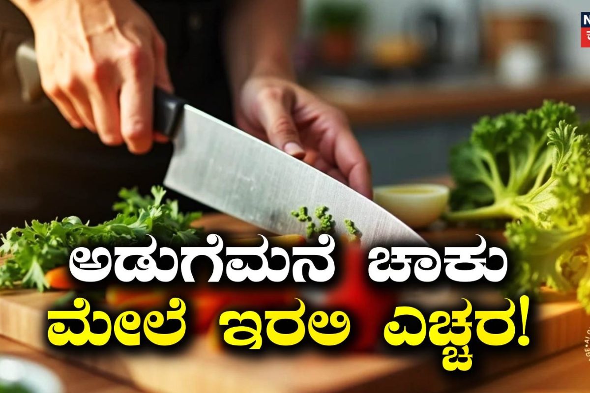 Health Tips: ತರಕಾರಿ ಕಟ್ ಮಾಡುವ ಚಾಕು ಕೂಡ ಆರೋಗ್ಯಕ್ಕೆ ಶತ್ರು! ಇಂದೇ ಈ ಬದಲಾವಣೆ ಮಾಡಿ