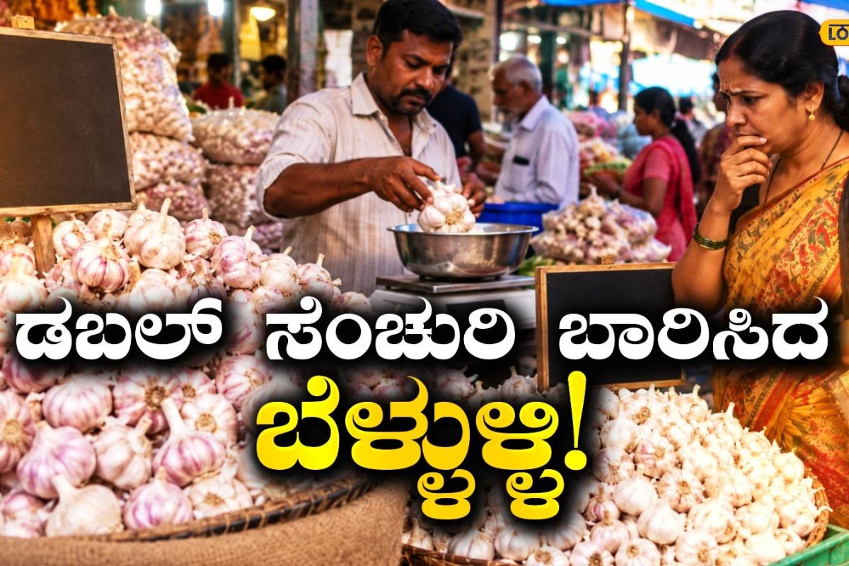 Garlic Rate: ₹240ರ ಗಡಿ ದಾಟಿದ ಜವಾರಿ ಬೆಳ್ಳುಳ್ಳಿ ದರ; ರಾಜ್ಯದೆಲ್ಲೆಡೆ ಬೆಲೆ ಏರಿಕೆ ಘಾಟಿಗೆ ಹೌಹಾರಿದ ಗ್ರಾಹಕರು!