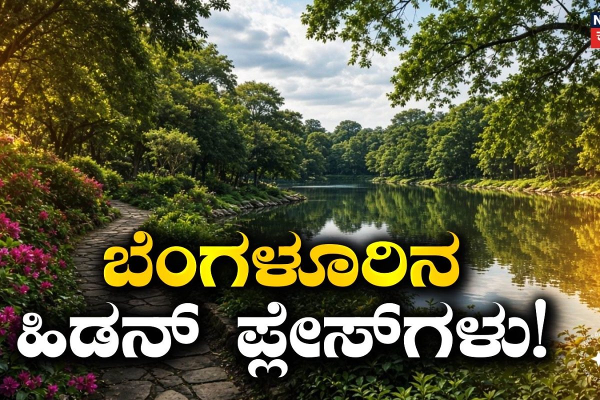 Hidden Places: ಲಾಲ್‌ಬಾಗ್‌-ಕಬ್ಬನ್‌ ಪಾರ್ಕ್​ ಬಿಟ್ಟು ಬೆಂಗಳೂರಿನ ಈ ಹಿಡನ್‌ ಪ್ಲೇಸ್‌ಗಳನ್ನು ನೋಡಿದ್ದೀರಾ? ಇಲ್ಲಿದೆ ಫುಲ್ ಡೀಟೇಲ್ಸ್