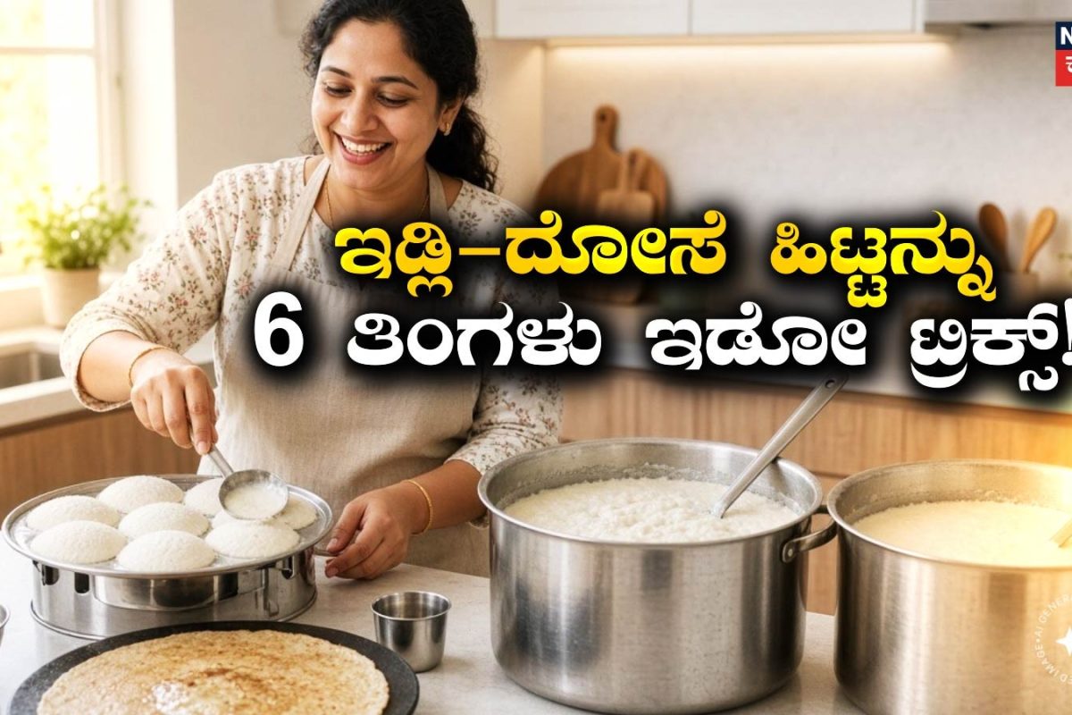 Kitchen Tips: ಫ್ರಿಡ್ಜ್ ಇಲ್ಲದಿದ್ದರೂ ಚಿಂತೆ ಬೇಡ! ಇಡ್ಲಿ, ದೋಸೆ ಹಿಟ್ಟನ್ನು 6 ತಿಂಗಳವರೆಗೆ ಬಳಸುವ ಸಿಂಪಲ್ ಟಿಪ್ಸ್ ಇಲ್ಲಿದೆ