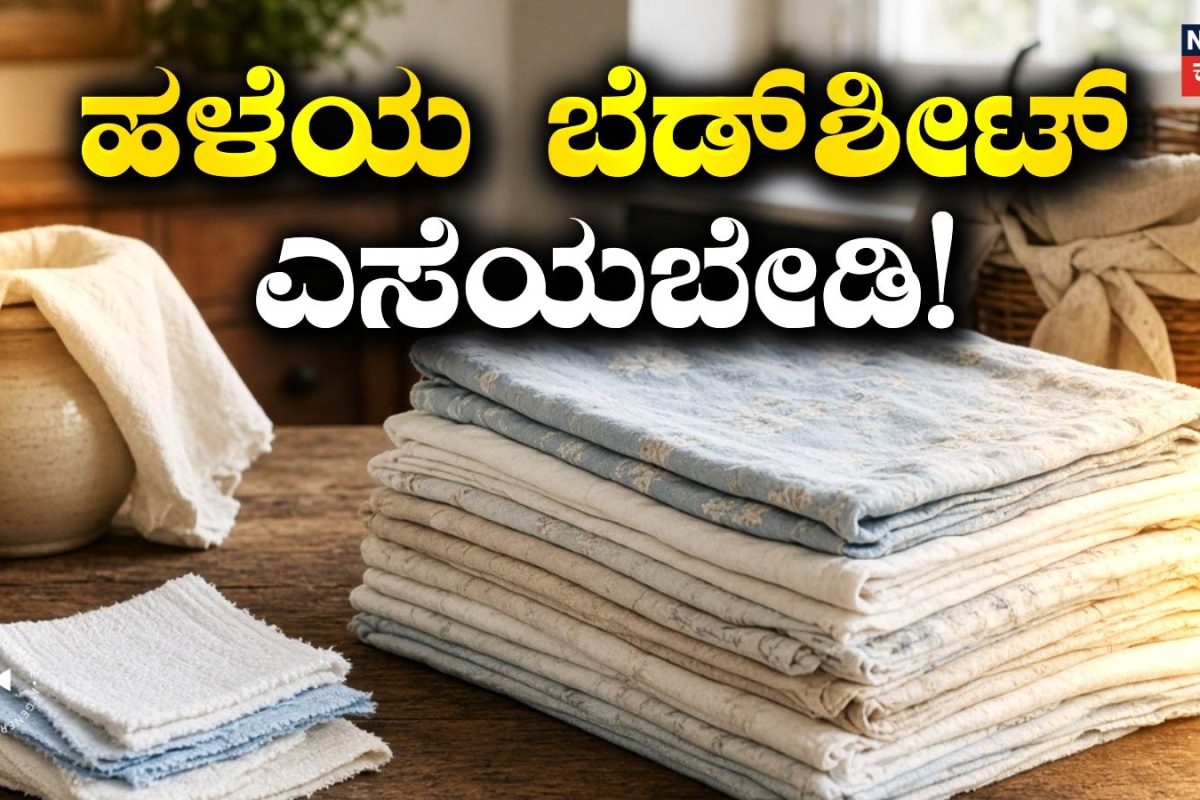Home Tips: ಹಳೆಯ ಬೆಡ್‌ಶೀಟ್ ಎಸೆಯಬೇಡಿ! ಮನೆಯ ಈ ಎಲ್ಲಾ ಕೆಲಸಗಳಿಗೂ ಈ ರೀತಿ ಉಪಯೋಗಿಸಿ, ಹಣ ಉಳಿಸಿ!