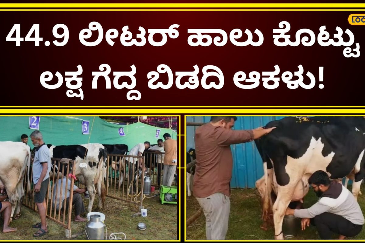 Milk Yield: ಹಾಲು ಕರೆದು 1 ಲಕ್ಷ ಗೆದ್ದ ರೈತ ಮಹಿಳೆ! ದಸರಾದಲ್ಲಿ ಕ್ಷೀರ ಸಾಗರವನ್ನೇ ಹರಿಸಿದ ಬಿಡದಿಯ ಆಕಳು