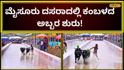 Mysuru Dasara Kicks Off First-Ever Kambala Buffalo Race Festival