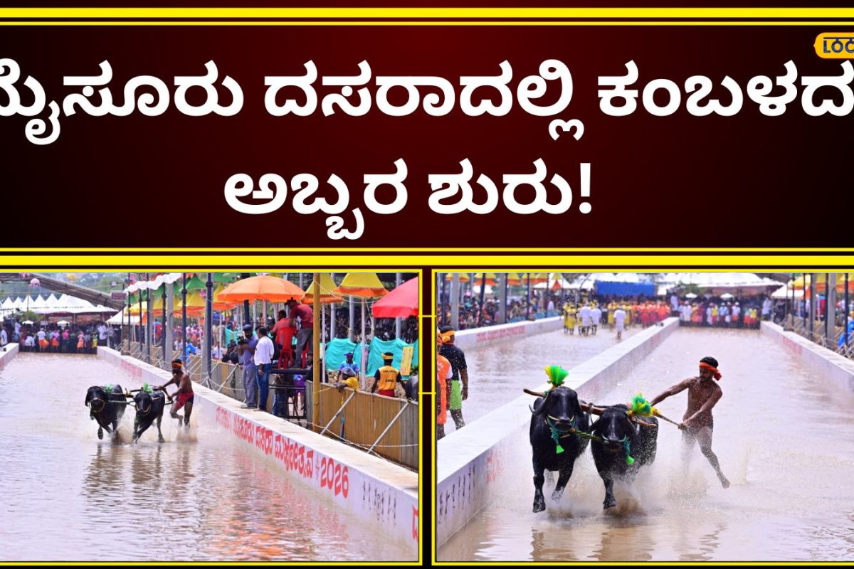 Mysuru Kambala: ಶುರುವಾಯ್ತು ಕಂಬಳದ ಹಾವಳಿ, ತಪ್ಪದೇ ಕೋಣಗಳ ಓಣ ಕಣ್ತುಂಬಿಕೊಳ್ಳಿ; ಇಂದು-ನಾಳೆ ಮಾತ್ರ ಈ ಅವಕಾಶ!