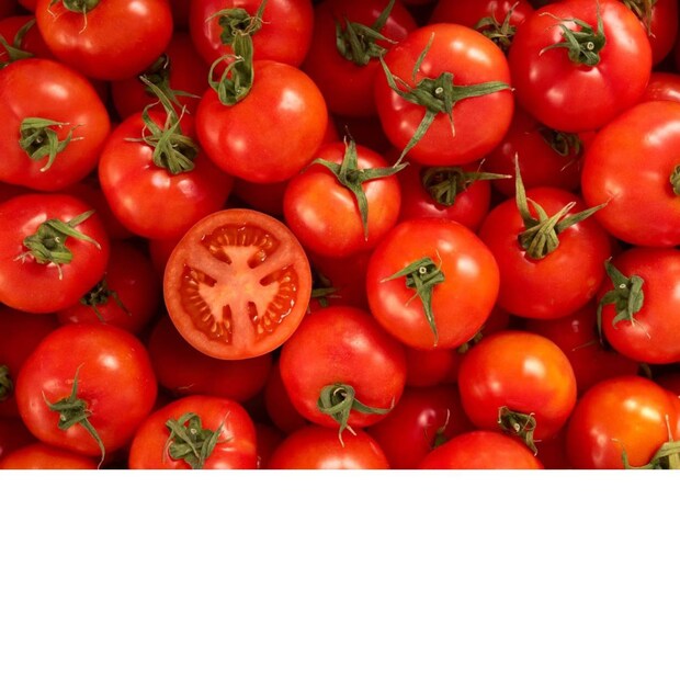 tomato
