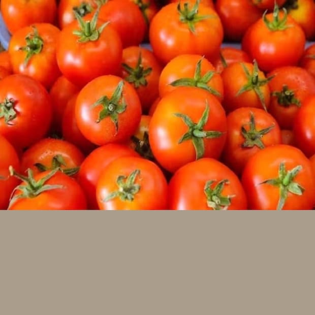 burger king india, tomato, price hike , വിലക്കയറ്റം, തക്കാളി, ബര്‍ഗര്‍ കിംഗ്, ഇന്ത്യ