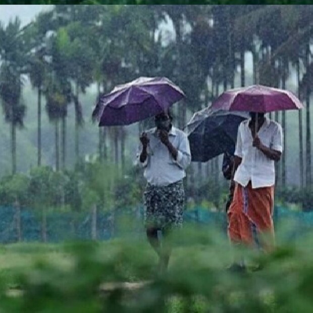  അടുത്ത 24 മണിക്കൂറിനുള്ളില്‍ പടിഞ്ഞാറു - വടക്കു പടിഞ്ഞാറു ദിശയില്‍ സഞ്ചരിക്കുന്ന ന്യൂനമര്‍ദം തെക്കന്‍ അറബിക്കടലില്‍ മധ്യഭാഗത്തായി ശക്തി പ്രാപിച്ച് ശക്തികൂടിയ ന്യൂനമര്‍ദ്ദമായി മാറാന്‍ സാധ്യതയുണ്ടെന്നാണ് കാലാവസ്ഥ വകുപ്പിന്റെ മുന്നറിയിപ്പില്‍ പറയുന്നത്.