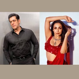 Malaika Arora | മുൻഭാര്യ മലൈകക്ക് അർബാസിന്റെ വിവാഹദിവസം സമ്മാനം അയച്ച് സൽമാൻ ഖാൻ; മലൈകയുടെ പ്രതികരണം ഇങ്ങനെ
