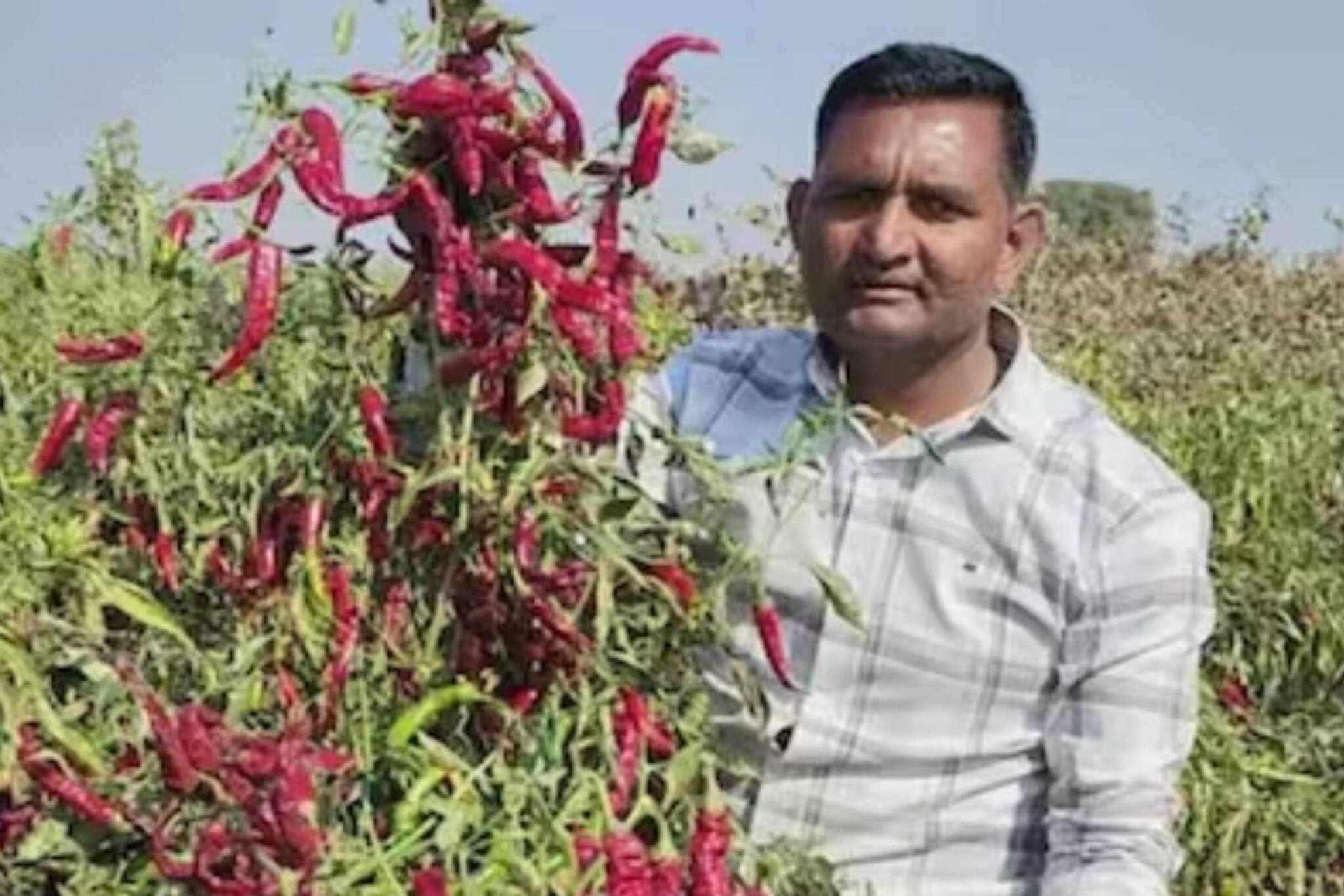 എന്തിനാ പഠിക്കുന്നത് ? എട്ടാം ക്ലാസ് വരെ മാത്രം പഠിച്ച 45കാരൻ ക‍ൃഷിയിലൂടെ പ്രതിവർഷം സമ്പാദിക്കുന്നത് ഒന്നര കോടി