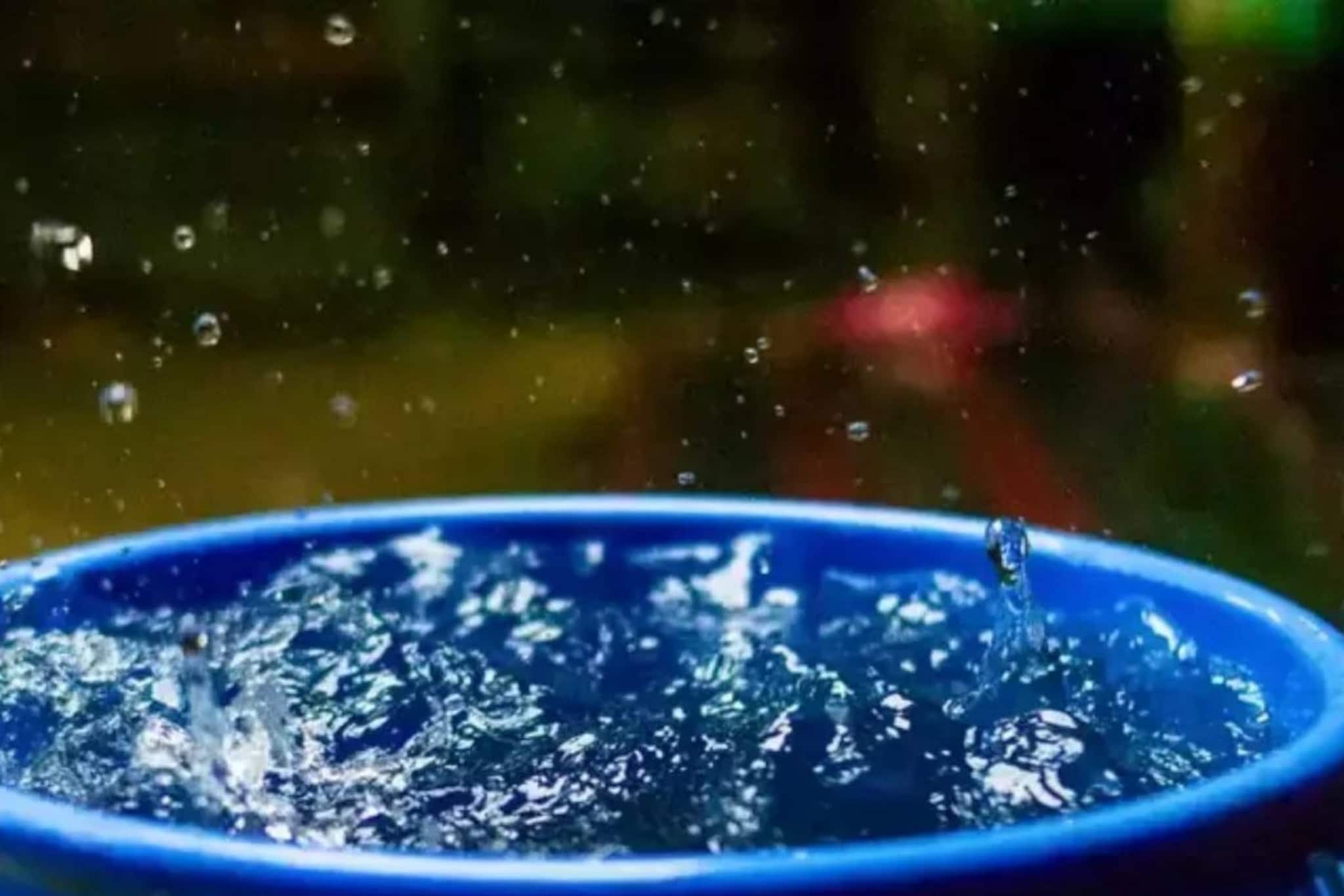 കളിച്ചു കൊണ്ടിരിക്കെ ബക്കറ്റിലെ വെള്ളത്തിൽ വീണ് വയനാട്ടിൽ  ഒരു വയസ്സുകാരി മരിച്ചു