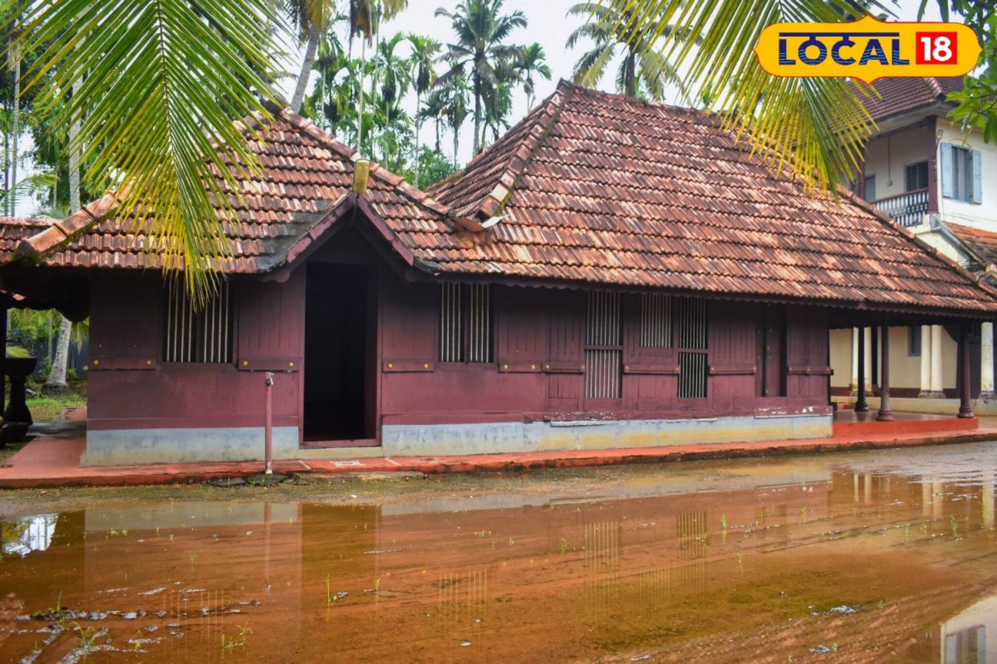ഹരിത വിപ്ലവത്തിന്റെ പിതാവ് മങ്കൊമ്പുകരനായ 'പച്ച'മനുഷ്യന്‍