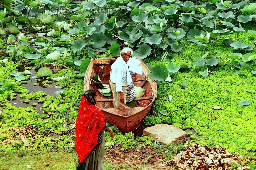  തിരുവനന്തപുരം ആറ്റിങ്ങൽ സ്വദേശിയായ രാമചന്ദ്രൻ ദീർഘകാലമായി ഡൽഹിയിലായിരുന്നു താമസം. സംസ്കാരം ഡൽഹി ലോധി ഗാർഡൻ ശ്മശാനത്തിൽ കഴിഞ്ഞ ദിവസം നടന്നു. (Image: Cartoonist Sudheer/Facebook)