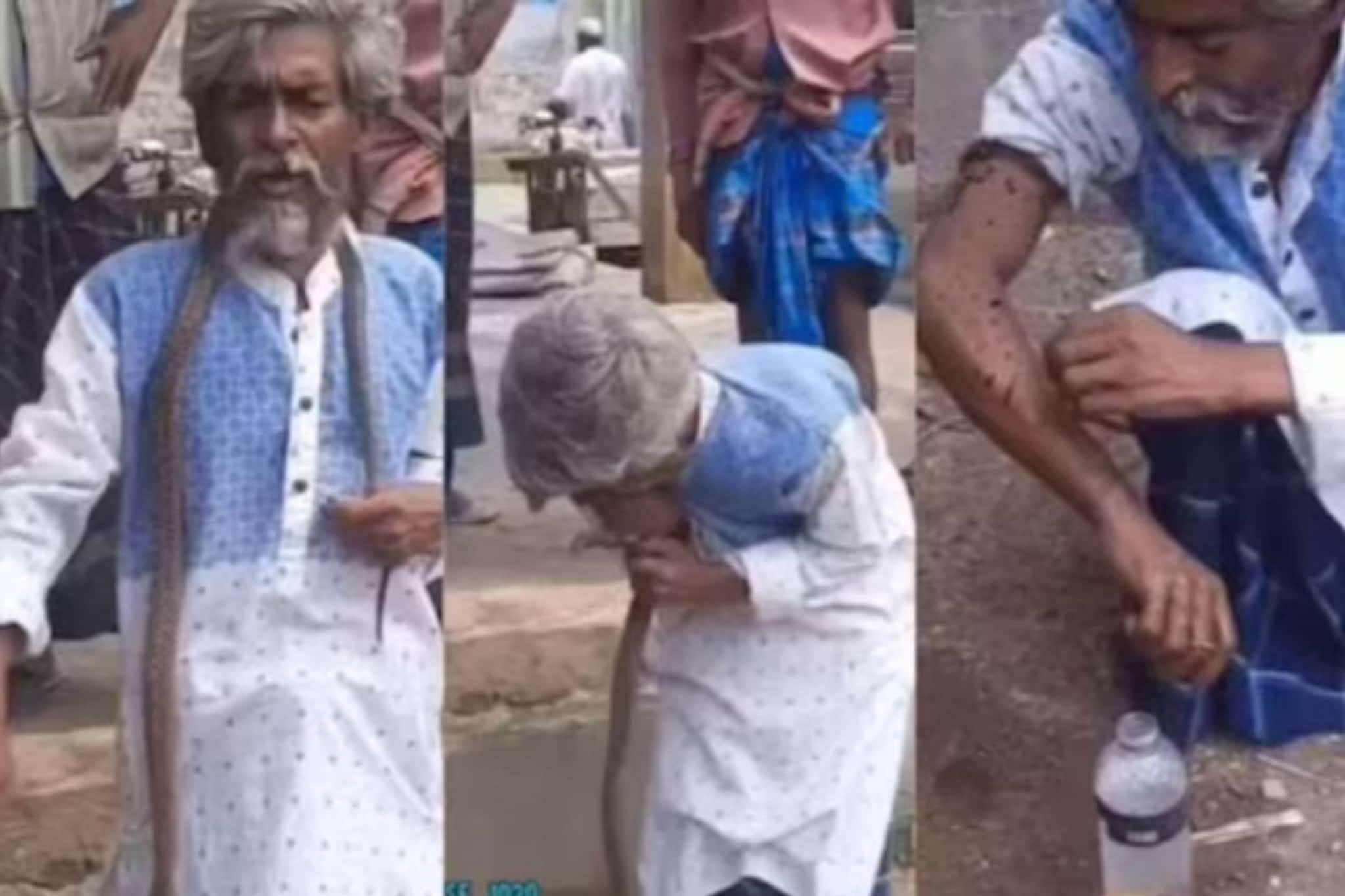 പെട്ടെന്ന് മൂർഖൻ ആക്രമിച്ചാൽ എന്തു ചെയ്യും? വീഡിയോ വൈറൽ