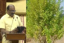 കേരളത്തിൽ ചന്ദന കൃഷി പ്രോത്സാഹിപ്പിക്കും; ചട്ടങ്ങളിൽ മാറ്റം വരുത്തുമെന്ന് ധനമന്ത്രി