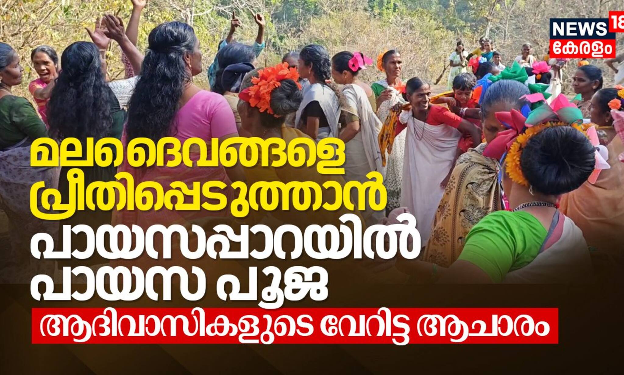 മലദൈവങ്ങളെ പ്രീതിപ്പെടുത്താൻ പായസപ്പാറയിൽ പായസ പൂജ, ആദിവാസികളുടെ വേറിട്ട ആചാരം
