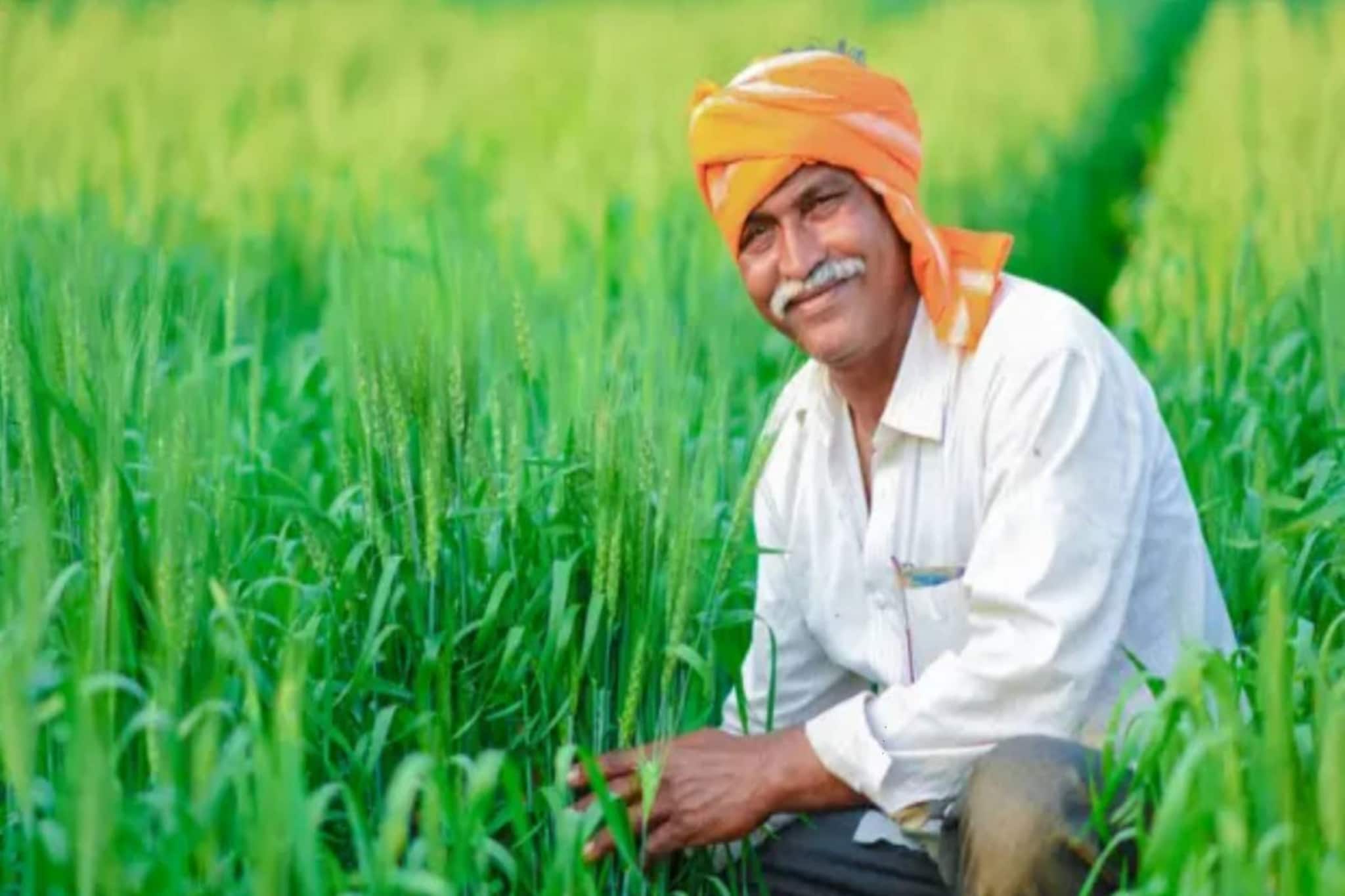 പിഎം കിസാന്‍: ആദായ നികുതി അടയ്ക്കുന്ന കര്‍ഷകര്‍ക്ക് പിഎം കിസാന്‍ പദ്ധതിയുടെ ആനൂകൂല്യം ലഭിക്കുമോ?