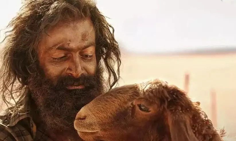  ഏറ്റവും വേഗത്തിൽ 50 കോടി നേടിയ ചിത്രങ്ങളിൽ ഇനി ഒന്നാം സ്ഥാനക്കാരൻ 'ആടുജീവിതം'. പൃഥ്വിരാജിന്റെ ആദ്യ സംവിധാന സംരംഭം 'ലൂസിഫറിന്റെ' റെക്കോർഡാണ് ഇതോടെ പൃഥ്വിയുടെ തന്നെ ആടുജീവിതം മറികടന്നിരിക്കുന്നത് എന്ന പ്രത്യേകത കൂടിയുണ്ട്.