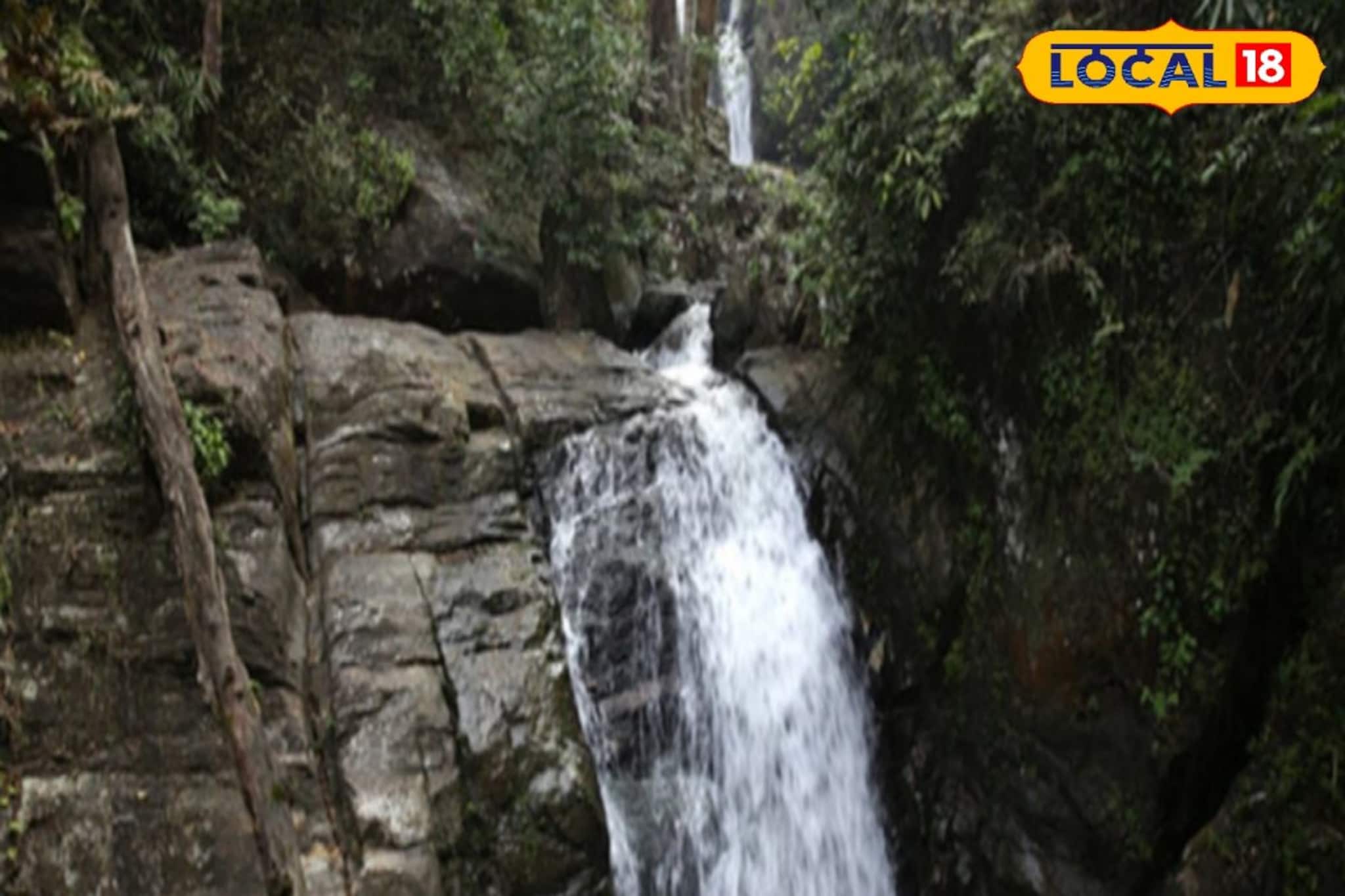 വേനൽ കാലത്ത് സഞ്ചാരികളെ വരവേറ്റ് 'മങ്കയം