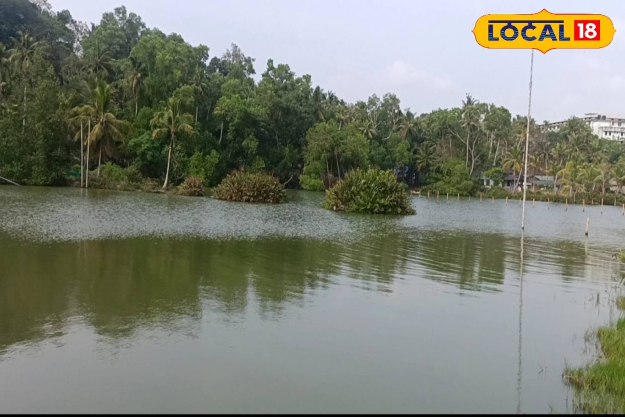 പ്രകൃതി ഒരുക്കിയ സുന്ദര കാഴ്ചകൾ; 'പണയിൽ കടവ് 'തടാകം