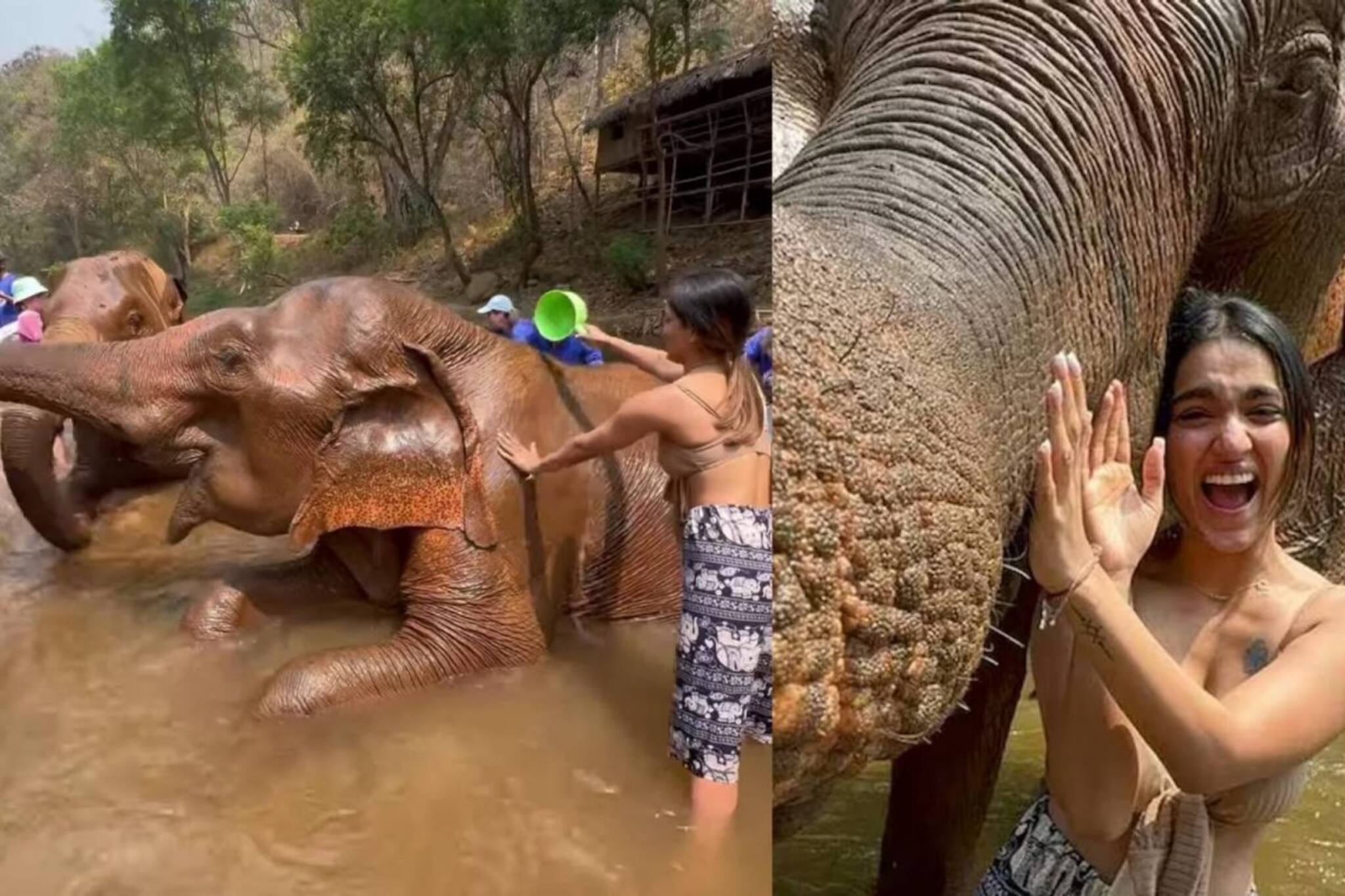 'ധൈര്യം സമ്മതിക്കണം'; ആനക്കൊട്ടിലില്‍ ആനകളെ തേച്ചുകുളിപ്പിച്ച് സാനിയ ഇയ്യപ്പൻ; ചിത്രങ്ങൾ വൈറൽ