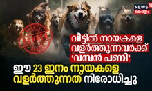 വീട്ടിൽ നായകളെ അരുമകളായി വളർത്തുന്നവർക്ക്‌ ‘വമ്പൻ പണി’, ഈ 23 ഇനം നായകളെ വളർത്തുന്നത്‌ നിരോധിച്ചു