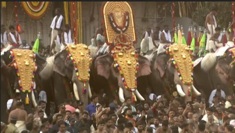  തൊട്ടുപിന്നാലെ തിരുവമ്പാടിക്കാരുടെ പൂരനായകനായി തിരുവമ്പാടി ചന്ദ്രശേഖരന്‍ തെക്കേഗോപൂര വാതില്‍ കടന്ന് മൈതാനത്തിലേക്ക് കടന്നുവന്നു. നെറ്റിപ്പട്ടം കെട്ടിയ ഉയരക്കേമന്മാരായ മുപ്പത് കൊമ്പന്മാര്‍ തേക്കിന്‍കാട് മൈതനിയില്‍ തലയെടുത്തങ്ങനെ നിന്നു.