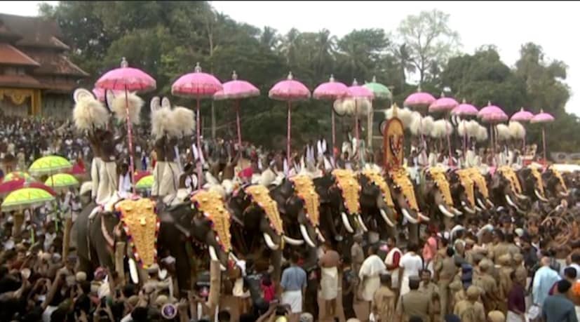  പിന്നാലെ പൂരപ്രേമികള്‍ കാത്തിരുന്ന തെക്കോട്ടിറക്കത്തിന് സമയമായി. പാറമേക്കാവ് ഭഗവതിയെ കോലത്തിലേറ്റി ഗജവീരന്‍ ഗുരുവായൂര്‍ നന്ദനാണ് തെക്കോട്ടിറക്കത്തിന് വരവറിയിച്ച് ആദ്യമെത്തിയത്. പിന്നാലെ കൊമ്പന്മാര്‍ ഒന്നൊന്നായി സ്വരാജ് റൌണ്ടിലെത്തി ശക്തന്‍ തമ്പുരാന്‍റെ പ്രതിമയ്ക്ക് മുന്നില്‍ അഭിവാദ്യം അര്‍പ്പിച്ച് അണിനിരന്നു.