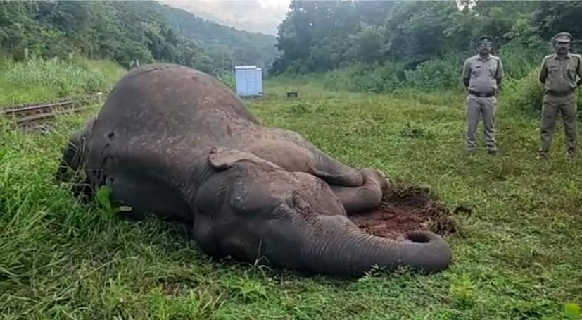  നിർമിതിബുദ്ധി (ആർട്ടിഫിഷ്യൽ ഇൻ്റലിജൻസ്) പദ്ധതിയുടെ കീഴിൽ വികസിപ്പിച്ചെടുത്ത ഗജരാജ്, ആനകളുടെയും ട്രെയിൻ യാത്രക്കാരുടെയും സുരക്ഷ ഉറപ്പാക്കാൻ കൃത്രിമബുദ്ധി പ്രയോജനപ്പെടുത്തുന്നു. വനം വകുപ്പിനെയും റെയിൽവേയെയും ഒന്നിച്ചാണ് ഗജരാജ് പദ്ധതി നടപ്പിലാക്കുന്നത്. ഏകദേശം 15.42 കോടി രൂപ ചെലവ് വരുന്ന ഗജരാജ് പദ്ധതി ഇരുവകുപ്പുകളുടെയും പ്രതിബദ്ധതയ്ക്ക് തെളിവാണ്.