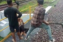'ഇവനെ വെട്ടി റെഡിയാക്കും'; കായംകുളത്ത് പട്ടാപ്പകൽ യുവാവിനെ തട്ടിക്കൊണ്ടുപോയി കൊല്ലപ്പെടുത്താൻ ശ്രമം; 3 പേർ പിടിയിൽ