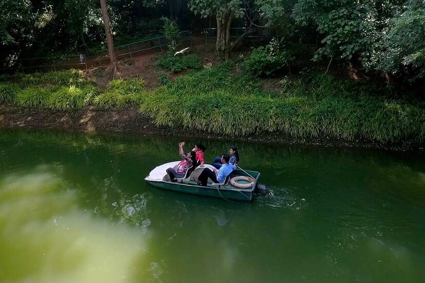  വിവിധ താമസ സൗകര്യങ്ങൾ തെന്മലയിൽ ലഭ്യമാണ്.തെന്മലയുടെ വിജയം മുതൽ കേരളത്തിലെ നിരവധി ഇക്കോ-ടൂറിസം പദ്ധതികൾക്ക് പ്രചോദനമായിട്ടുണ്ട്, ടൂറിസവും പരിസ്ഥിതി സംരക്ഷണവും പരസ്പരം ബന്ധിപ്പിക്കാവുന്നതിന്റെ ഉദാഹരണമാണ്. പ്രകൃതി വിഭവങ്ങളും വനഭൂമിയും സംരക്ഷിക്കുമ്പോൾ സാമ്പത്തിക വികസനം മുന്നോട്ട് കൊണ്ടുപോകാനുള്ള ഒരു തികഞ്ഞ മാതൃകയാണ് ഈ പദ്ധതി.