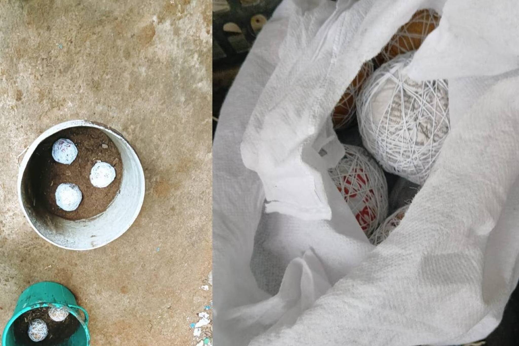 തിരുവനന്തപുരം കുളത്തൂർ മാർക്കറ്റിൽ നാടൻ ബോംബുകൾ