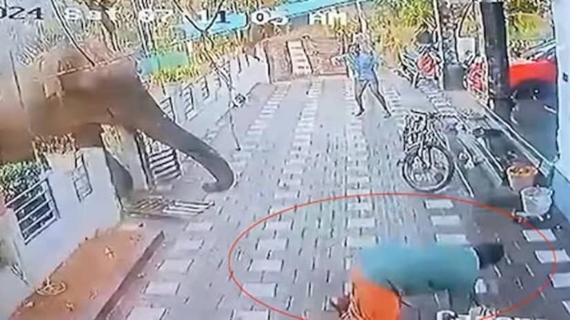   ഏതാനും മാസങ്ങൾക്ക് മുമ്പ് വയനാട്ടിൽ ബേലൂർ മഖ്‌ന എന്ന ആനയുടെ ആക്രമണത്തിൽ കർഷകൻ മരിച്ച ദാരുണമായ സംഭവം വന്യജീവി സംരക്ഷണം മനുഷ്യസുരക്ഷയുമായി സന്തുലിതമാക്കുന്നതിലെ വെല്ലുവിളികൾ ഉയർത്തിക്കാട്ടിയിരുന്നു. ആക്രമാസക്തമായ പെരുമാറ്റം കാഴ്ച വച്ച ഈ ആനയെ മുമ്പ് കർണാടകയിലെ ഹാസന്‍ ഡിവിഷനിലെ ബേലൂരില്‍ നിന്നു പിടികൂടി, റേഡിയോ കോളര്‍ ഘടിപ്പിച്ച് വയനാട് വന്യജീവി സങ്കേത വനാതിര്‍ത്തിയിലെ മൂലഹോള്ള വന്യജീവി റേഞ്ചില്‍ തുറന്നു വിടുകയായിരുന്നു.