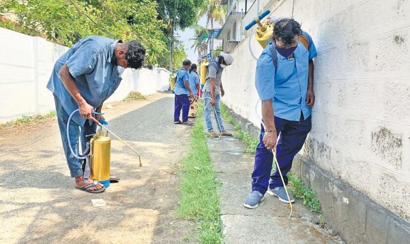  സർക്കാർ ഇടപെടലുകൾ നിർണായകമാണെങ്കിലും, കൊതുക് ശല്യം ലഘൂകരിക്കുന്നതിൽ വ്യക്തിഗത പ്രവർത്തനങ്ങൾ നിർണായക പങ്ക് വഹിക്കുന്നു. സ്ഥിരമായി വെള്ളം കെട്ടിക്കിടക്കുന്ന പാത്രങ്ങൾ ഒഴിക്കുക, ജനലുകളിലും വാതിലുകളിലും കൊതുക് വലയോ സ്‌ക്രീനുകളോ ഉപയോഗിക്കുക, കീടനാശിനികൾ പ്രയോഗിക്കുക തുടങ്ങിയ സജീവമായ നടപടികൾ സ്വീകരിക്കാൻ താമസക്കാർ ശ്രദ്ധിക്കേണ്ടതാണ്.